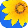 天美mv星空mv免费观看全集免费版