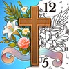 lico视频播放器